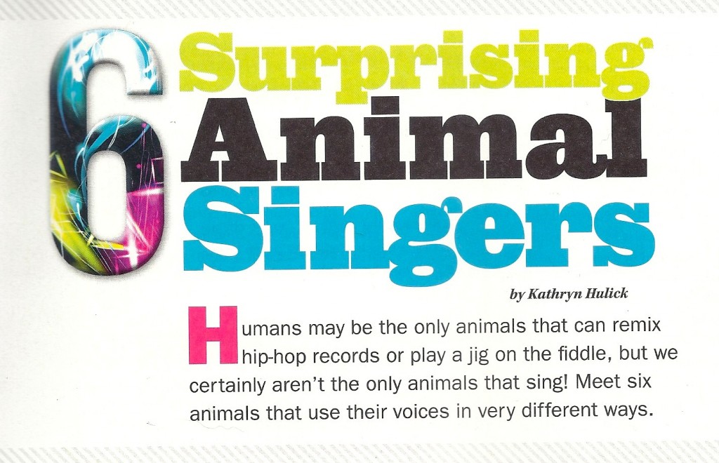 Surprising Singers