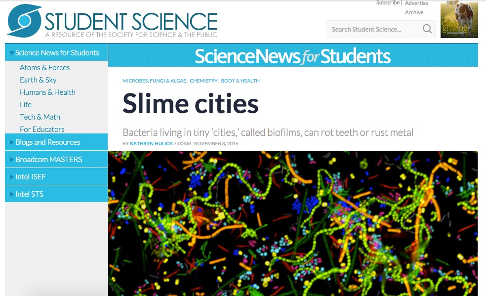 Slime-cities