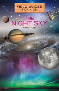 The Night Sky book cover